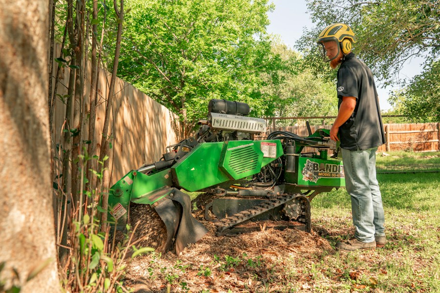 Stump grinding